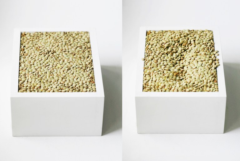 Lentils2